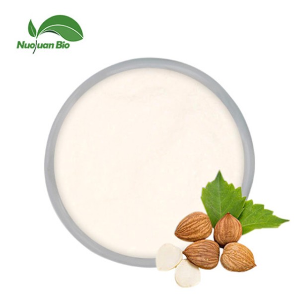 Elderberry Powder Supplier - Spray Dried Fruit Juice