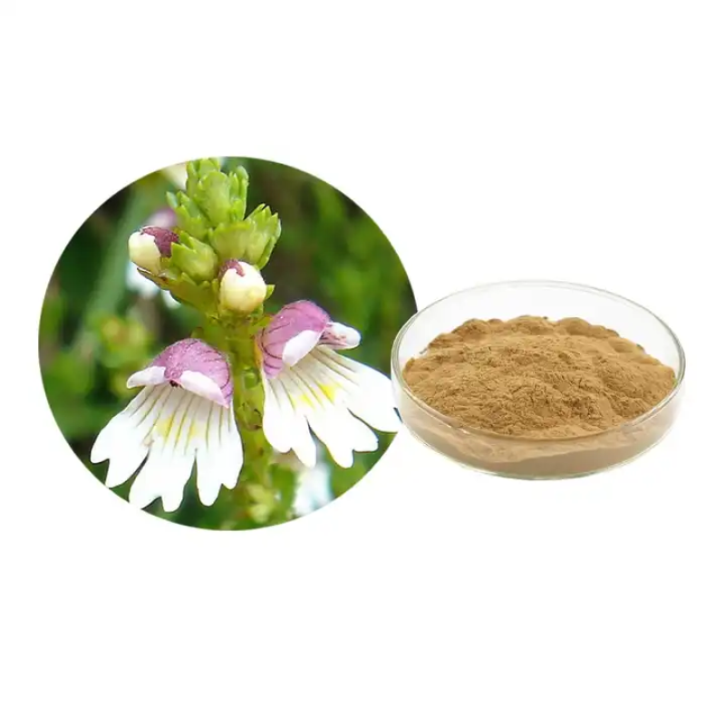 Eyebright Extract Manufacturer - Organic Euphrasia Custom