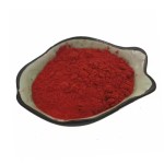 Resistant Dextrin Factory - Corn 95% Food Grade