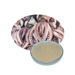 Squid Powder Factory - Freeze Dried High Quality