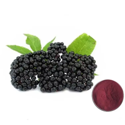 Pea Protein Powder Supplier - 100% Pure Natural Bulk