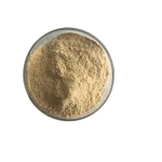 Mogroside V Factory - Monk Fruit Extract 20%-50% Bulk