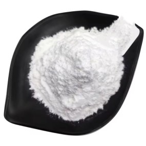 L-Citrulline Powder Manufacturer - High Quality Bulk