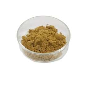 Costus Igneus Extract Manufacturer - Leaf Root Powder 10:1 Custom