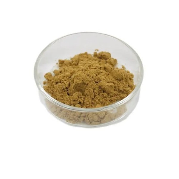 Costus Igneus Extract Manufacturer - Leaf Root Powder 10:1 Custom