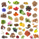 Pine Bark Extract Supplier - 100% Natural P.E.