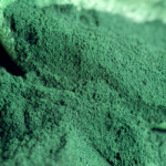 Rice Protein Powder Factory - Hydrolyzed 100% Pure