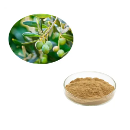 Yoghurt Powder Manufacturer - Food Grade Custom