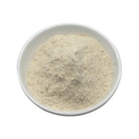 Ergot Extract Powder Supplier - Claviceps Purpurea 99% Pure