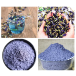 Butterfly Pea Powder Manufacturer - Clitoria Ternatea Pure