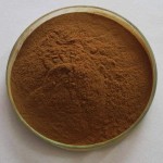 False Unicorn Root Powder Factory - Chamaelirium Luteum Extract