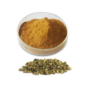 Tribulus Terrestris Powder Factory - Herbal Extract Custom Formula