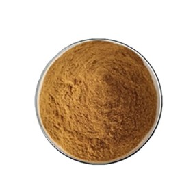 Maca Extract Supplier - Root Powder Bulk