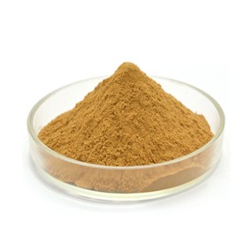 Astragalus Extract Factory - Root Powder Custom