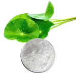Centella Asiatica Extract Factory - Asiaticoside Gotu Kola
