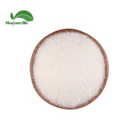 Nicotinamide Riboside Powder Supplier - Hydrogen Malate 98% Bulk