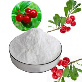 Bearberry Extract Factory - Alpha Arbutin 99% Skin Care