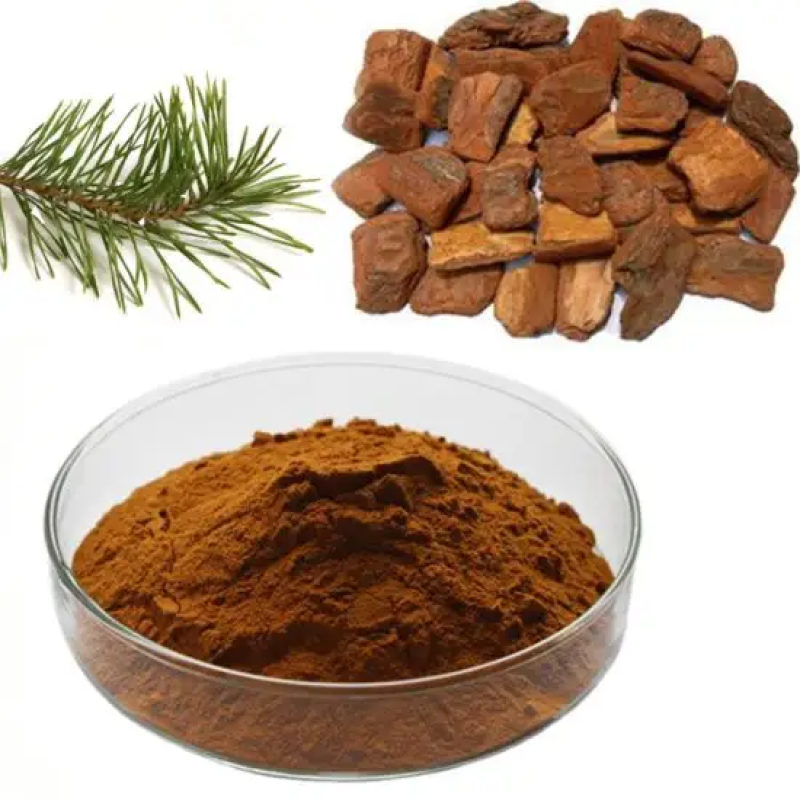 Pine Bark Extract Supplier - 100% Natural P.E.