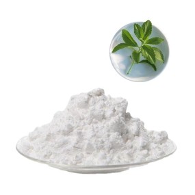 Stevia Extract Manufacturer - STV 80%-95% Bulk