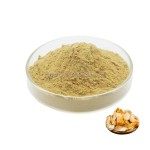 Cinnamon Bark Extract Manufacturer - Bark Powder Custom