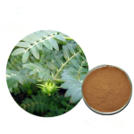 Tribulus Terrestris Extract Manufacturer - 95% Saponins Custom