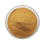 Alfalfa Seed Supplier - Medicago Sativa Premium Quality