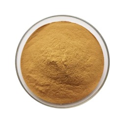 Alfalfa Seed Supplier - Medicago Sativa Premium Quality