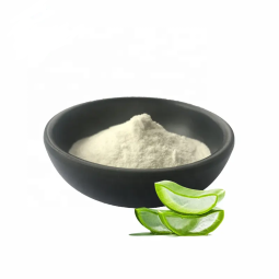Aloe Vera Powder Manufacturer - Freeze Dried Gel 100:1-200:1
