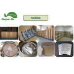 Lemon Powder Factory - Natural Flavor Custom