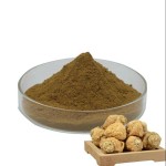 Stevioside Powder Factory - Stevia Extract 80%-95% Custom