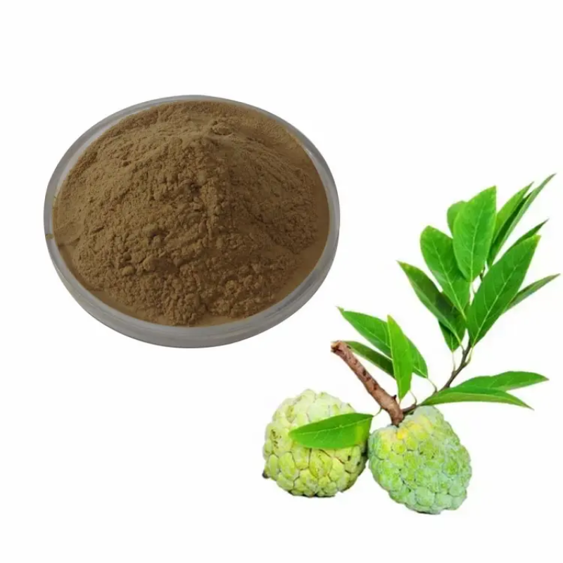 Graviola Extract Factory - Seeds Fruit 4:1-20:1 Custom