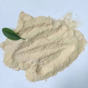 Carrageenan Powder Supplier - Lambda Refined Custom