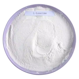 L-Leucine Powder Supplier - Amino Acid High Quality
