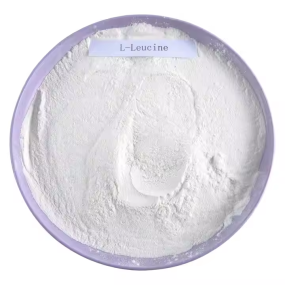 L-Leucine Powder Supplier - Amino Acid High Quality