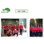 Haritaki Powder Supplier - Terminalia Chebula Extract Custom