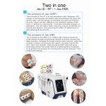 EMS Sculpting Manufacturer - Weight Loss