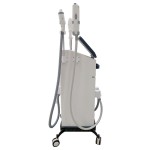 Laser Hair Removal Factory - 2024 DPL