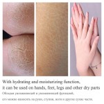 Foot Cream Factory - Anti Crack Heel Repair Care