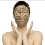 Green Powder Supplier - 20% Spongilla Sponge Spicules