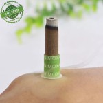 Moxibustion Sticker Supplier - Mini Moxa Tube Self Stick