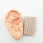 Magnetic Pellets Supplier - Disposable Magnetic Balls OEM