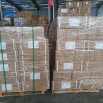 Carotene Powder Supplier - Natural Food Grade Vegan