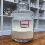 Cellulase Enzyme Powder Factory - Food Grade 9012-54-8