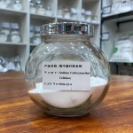 CMC Powder Manufacturer - Carboxymethyl Cellulose Custom