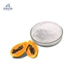 Papain Enzyme Powder Supplier - Premium Food Additive