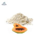 Papain Enzyme Powder Manufacturer - Meat Tenderizing Custom