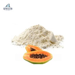 Papain Enzyme Powder Manufacturer - Meat Tenderizing Custom