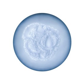 Sodium Tripolyphosphate Manufacturer - Food Stabilizer Custom