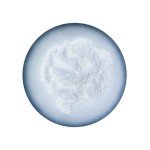 Microcrystalline Cellulose Factory - Africa Low Price MCC