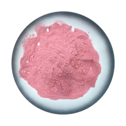 Vitamin B12 Factory - CAS 68-19-9 Cyanocobalamin